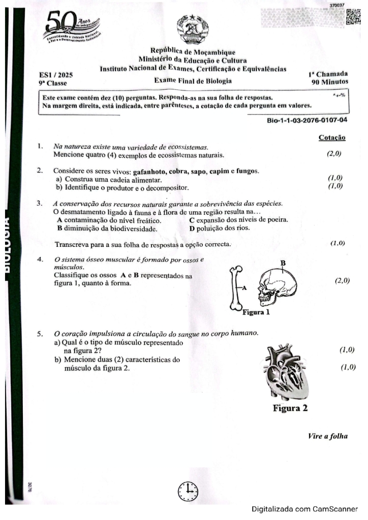 Capa de Biologia 9ª Classe 2025 – 1ª Chamada