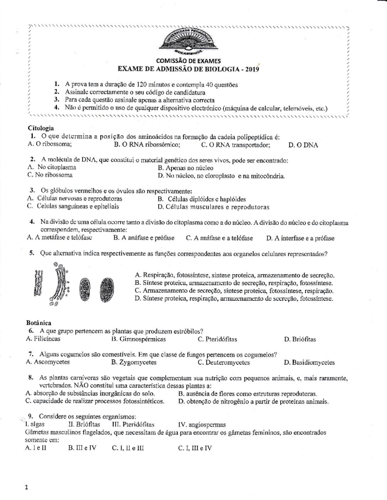 Biologia UP 2019 (Enunciado)
