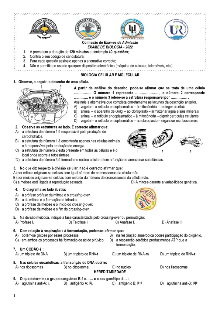 Capa de Biologia UP 2022 (Enunciado)