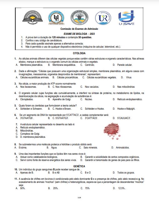 Biologia UP 2023 (Enunciado)