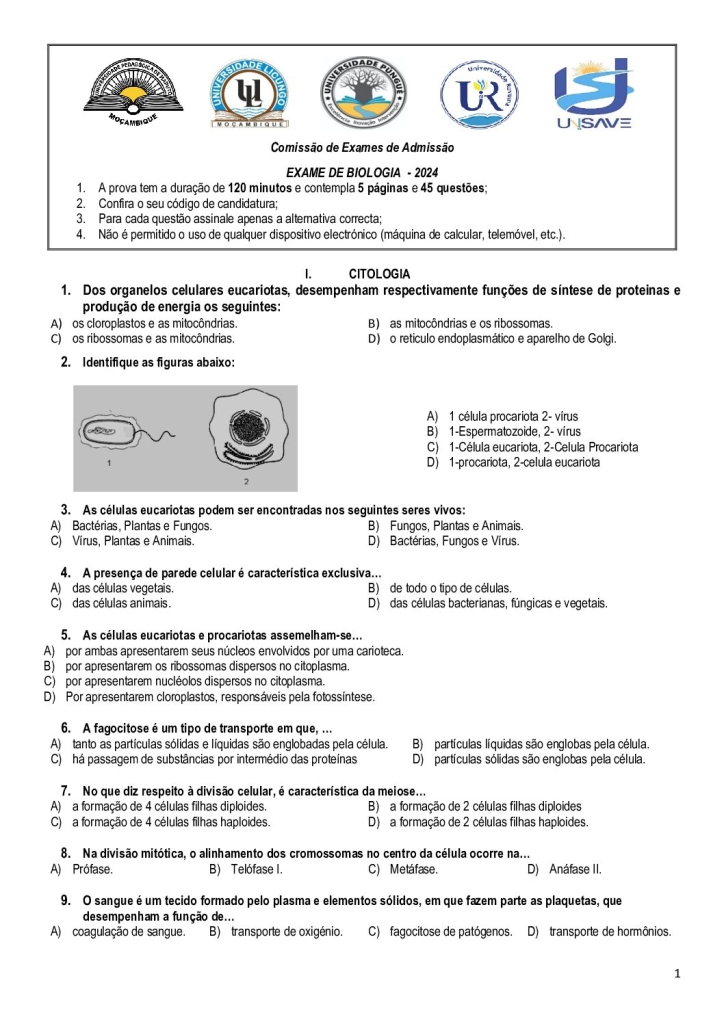 Capa de Biologia UP 2024 (Enunciado)