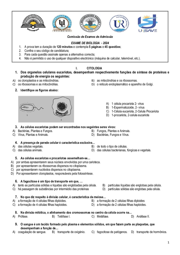 Biologia UP 2024 (Enunciado)